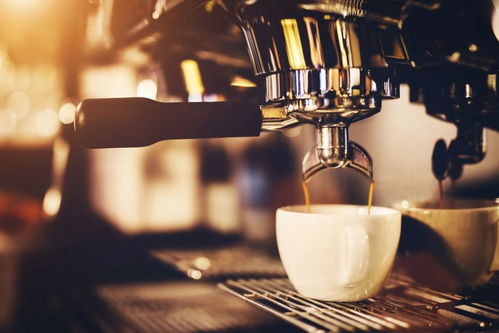 隅田川咖啡 从销量超三亿到签约亚运,杭州国产咖啡登上国际舞台